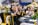 International Conference on Biodiversity and Climate Change 2025  | Misamis University Research Center